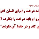 روز درختکاری را گرامی میداریم
